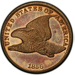 Flying Eagle Penny Set