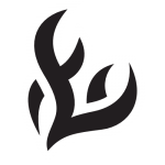 Pokemon Flashfire Set Logo