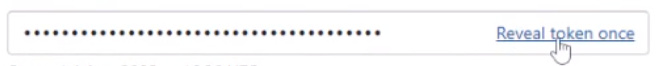 Reveal Shopify API Token